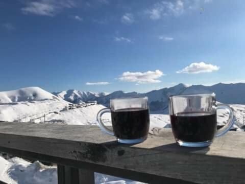 Gudauri Ski Studio Kültér fotó